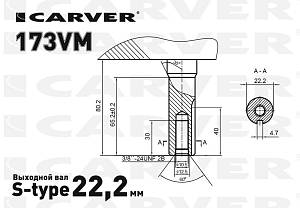 Carver Двигатель бензиновый 173VM (01.025.00072)